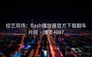 综艺现场：flash播放器官方下载翻车片段 · 爆笑4087