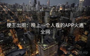 梗王出圈：晚上一个人看的APP火遍全网
